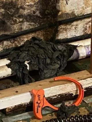 Top-rated drain cleaning in Staten Island, NY by Roto-Rooter Plumbing & Water Cleanup