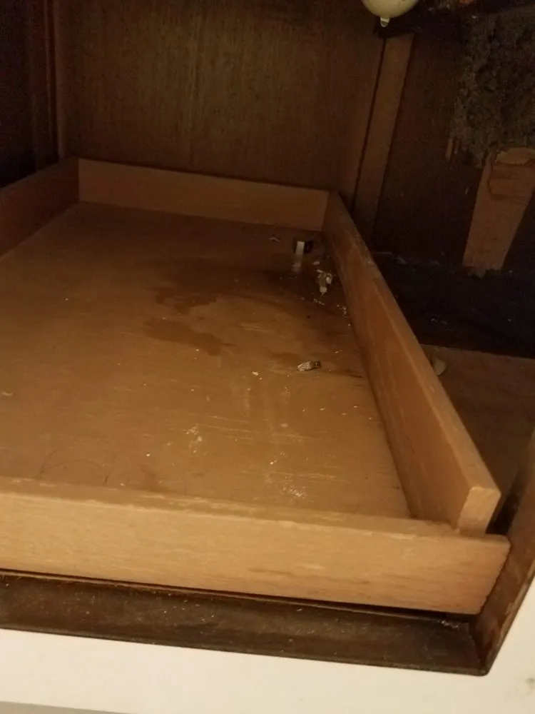 Trusted drain cleaning service in Wyoming, MI - Roto-Rooter Plumbing & Water Cleanup