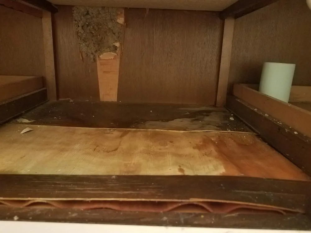 Emergency pipe repair for homes in Wyoming, MI by Roto-Rooter Plumbing & Water Cleanup