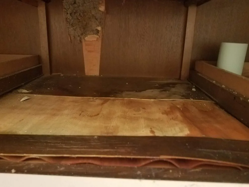 Trusted leak detection experts serving Wyoming, MI - Roto-Rooter Plumbing & Water Cleanup