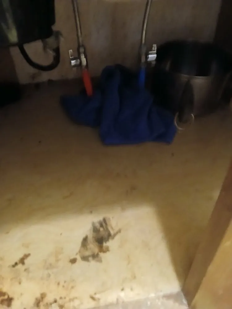 Slide of Roto-Rooter Plumbing, Drains & Water Cleanup