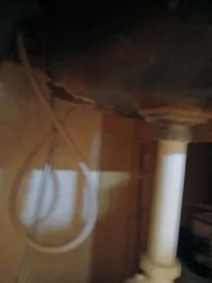 Roto-Rooter Plumbing, Drains & Water Cleanup Logo