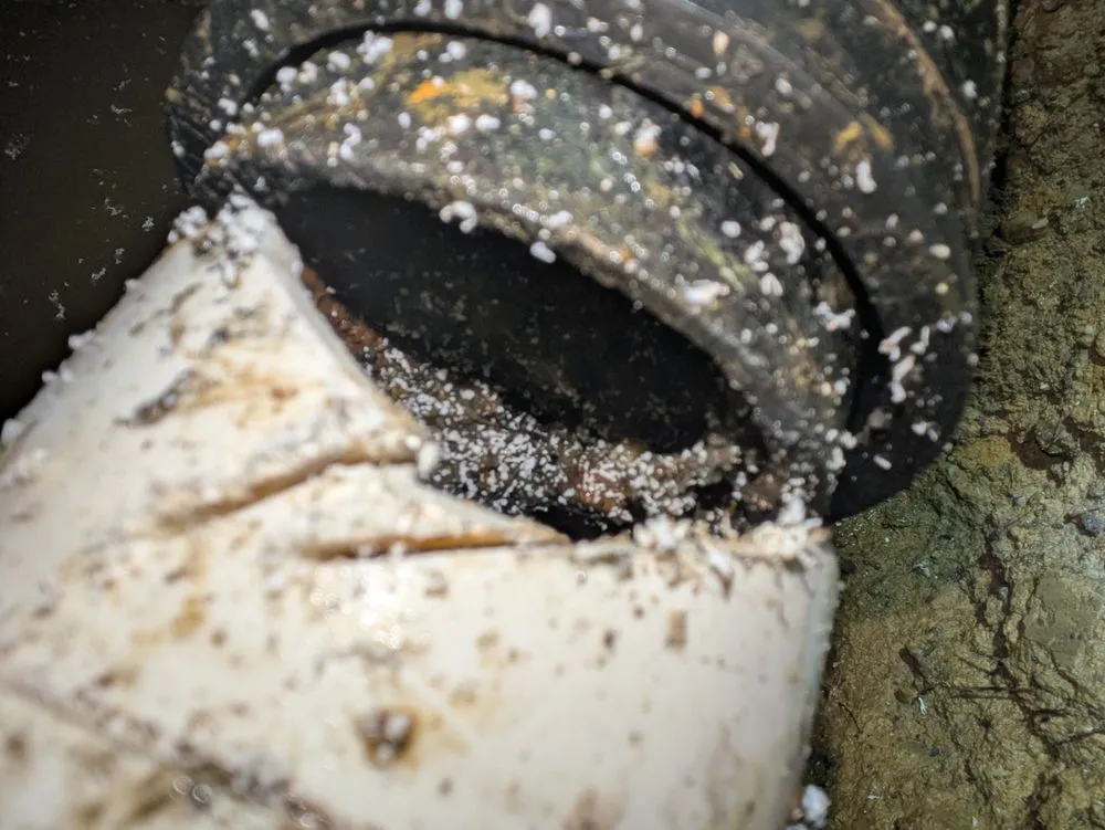 Slide of Roto-Rooter Sewer-Drain Service