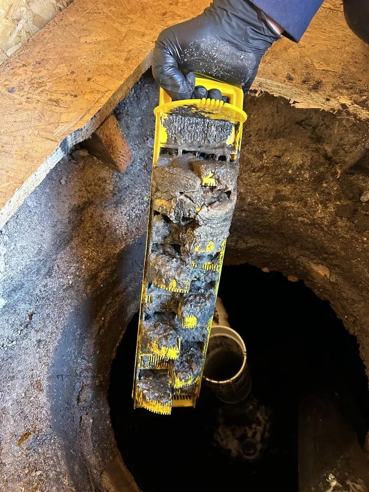 Slide of Roto-Rooter