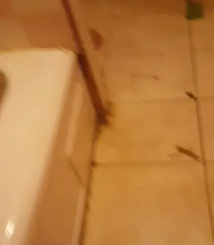 Slide of Roto-Rooter