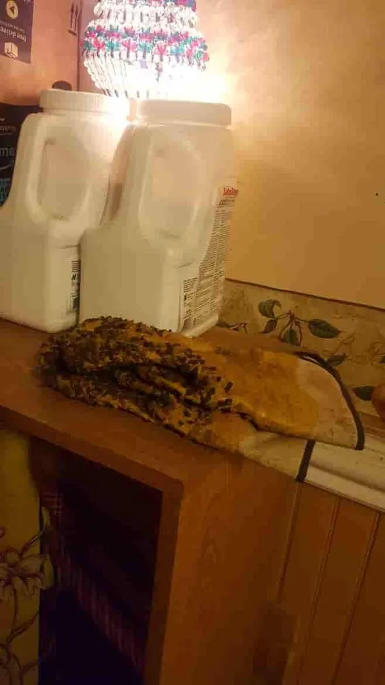 Slide of Roto-Rooter