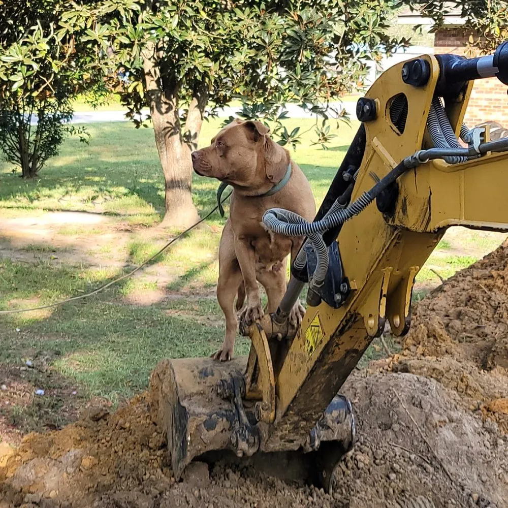 Slide of Roto-Rooter