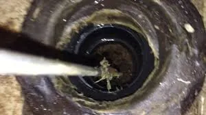 Slide of Roto-Rooter