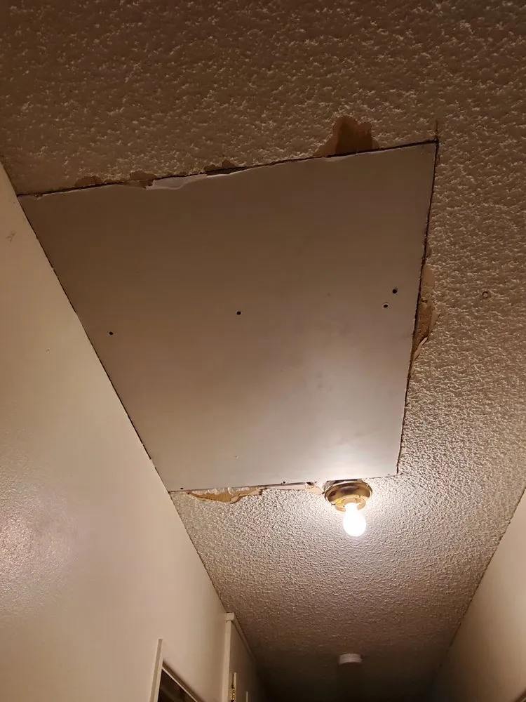 Slide of Roto Rooters