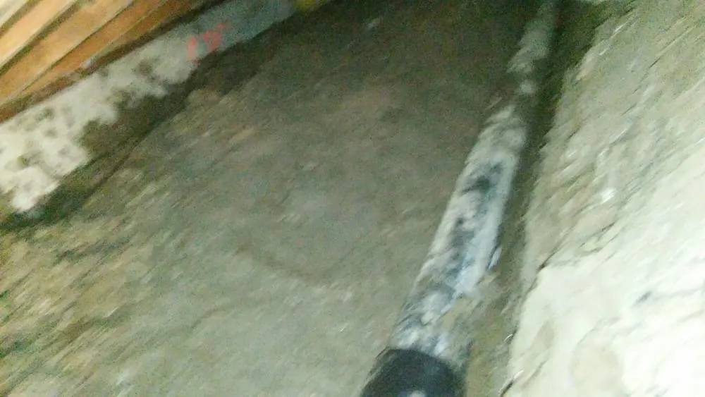 Quality plumbing repair experts serving San Jose, CA - Rotoplas Plumbing