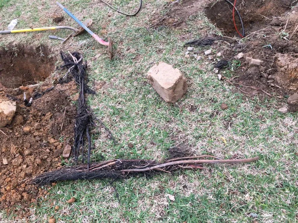 Slide of Rowe Rooter & Plumbing