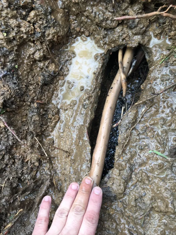 Slide of Rowe Rooter & Plumbing