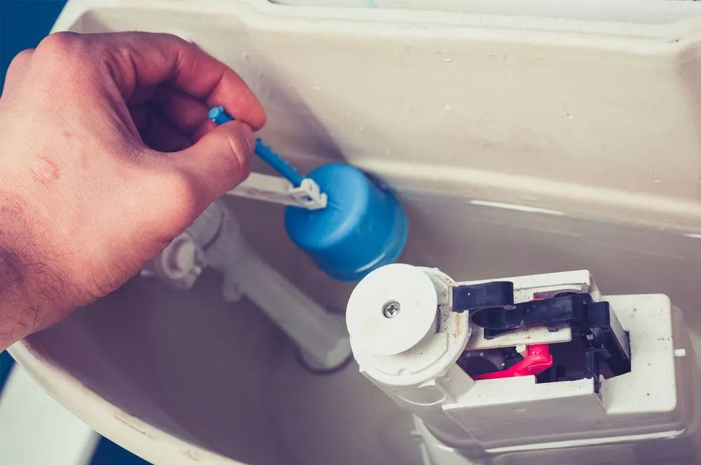 Slide of Royal Flash Serve