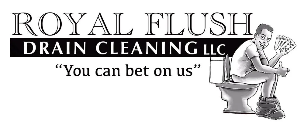 Slide of Royal Flush Drain Cleaning