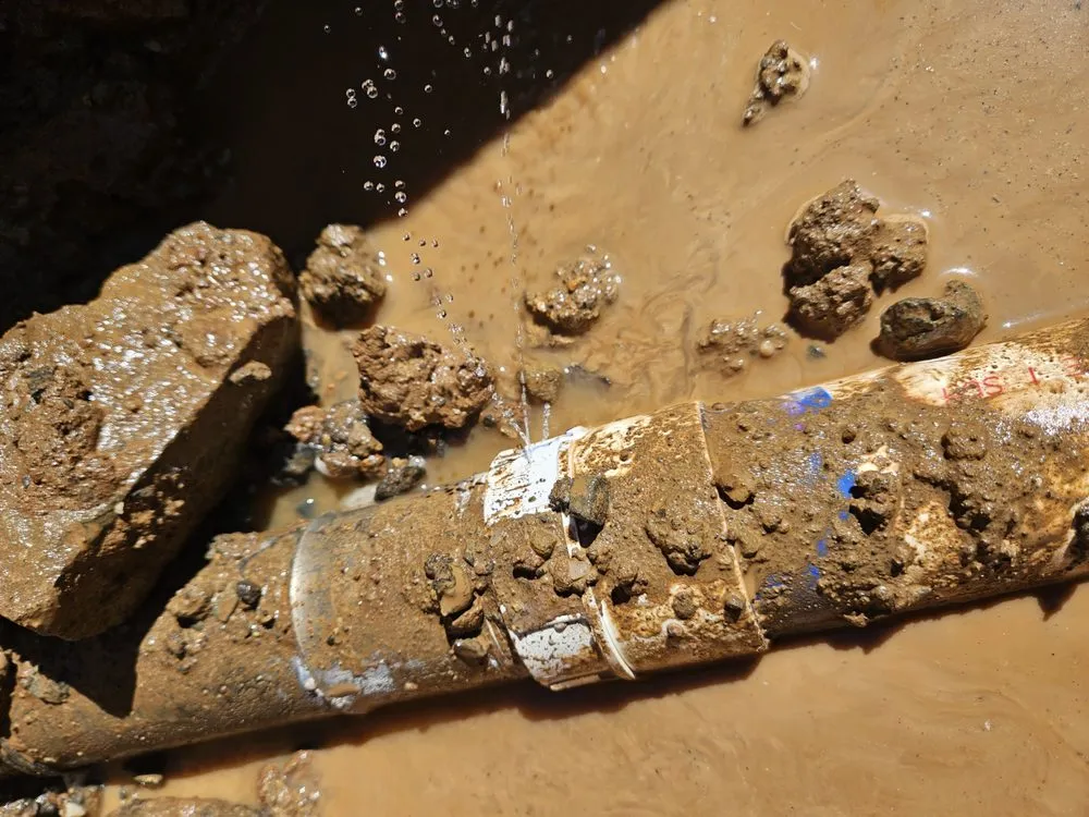 Slide of Royal Flush