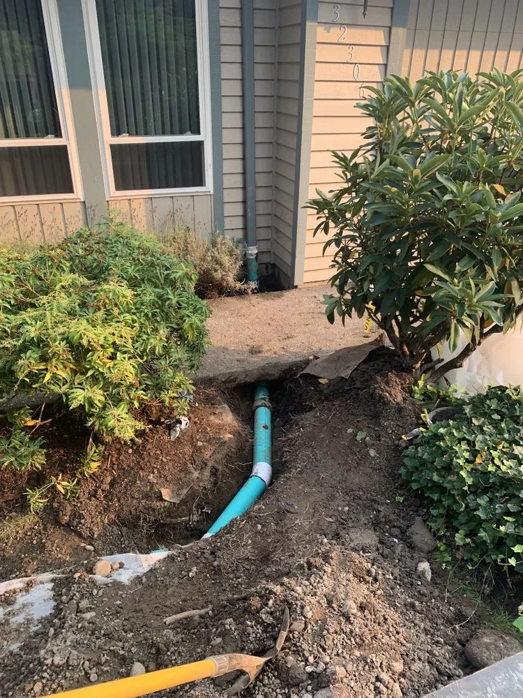 Slide of Royal Flush Plumbing and Sewer