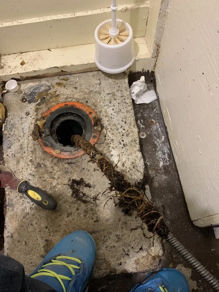 Slide of Royal Flush Plumbing and Sewer