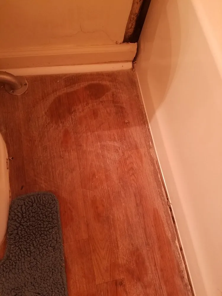 Slide of Royal Flush Plumbing