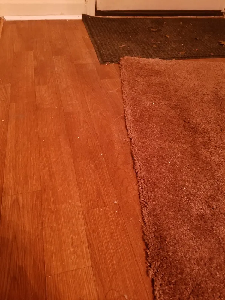 Slide of Royal Flush Plumbing