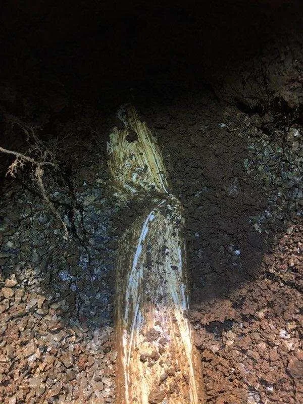 Slide of Royal Flush Plumbing