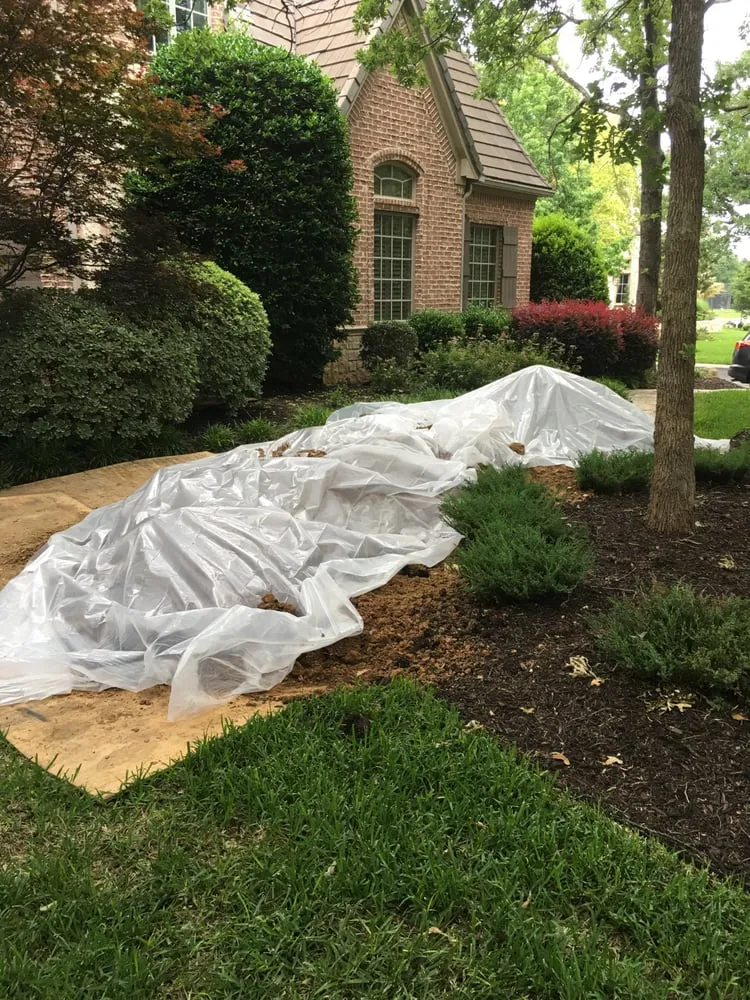 Slide of Royal Flush Plumbing