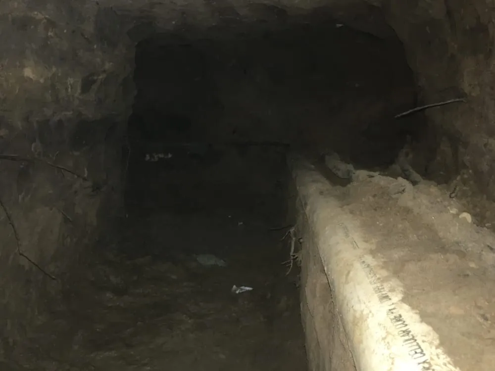 Slide of Royal Flush Plumbing