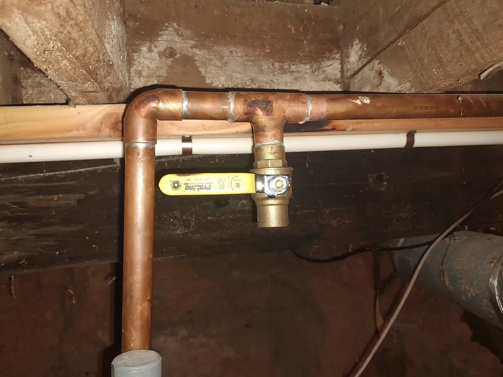 Slide of Royal Flush Plumbing