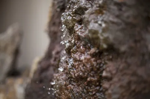 Slide of Royal Flush Plumbing