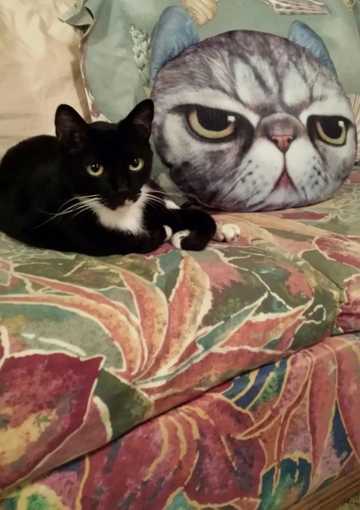 Slide of Royal Flush Plumbing