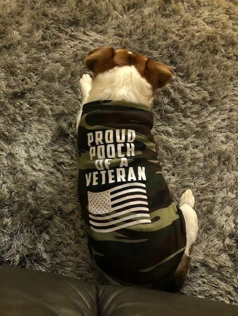 Slide of Royal Flush Plumbing