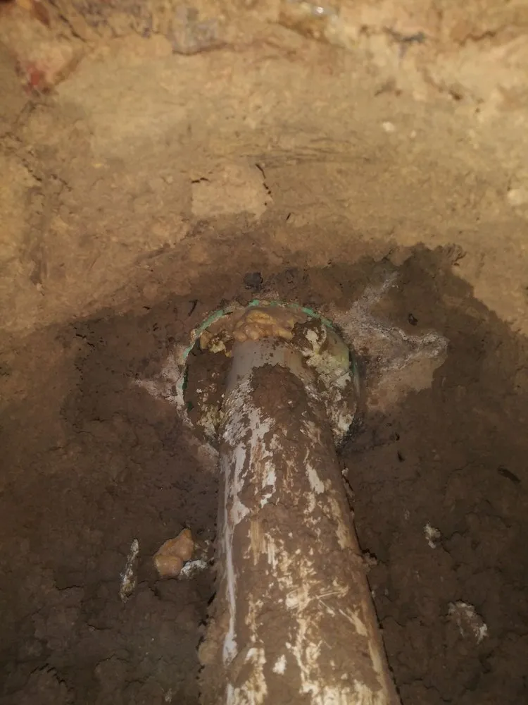 Slide of Royal Pain Main and Drain