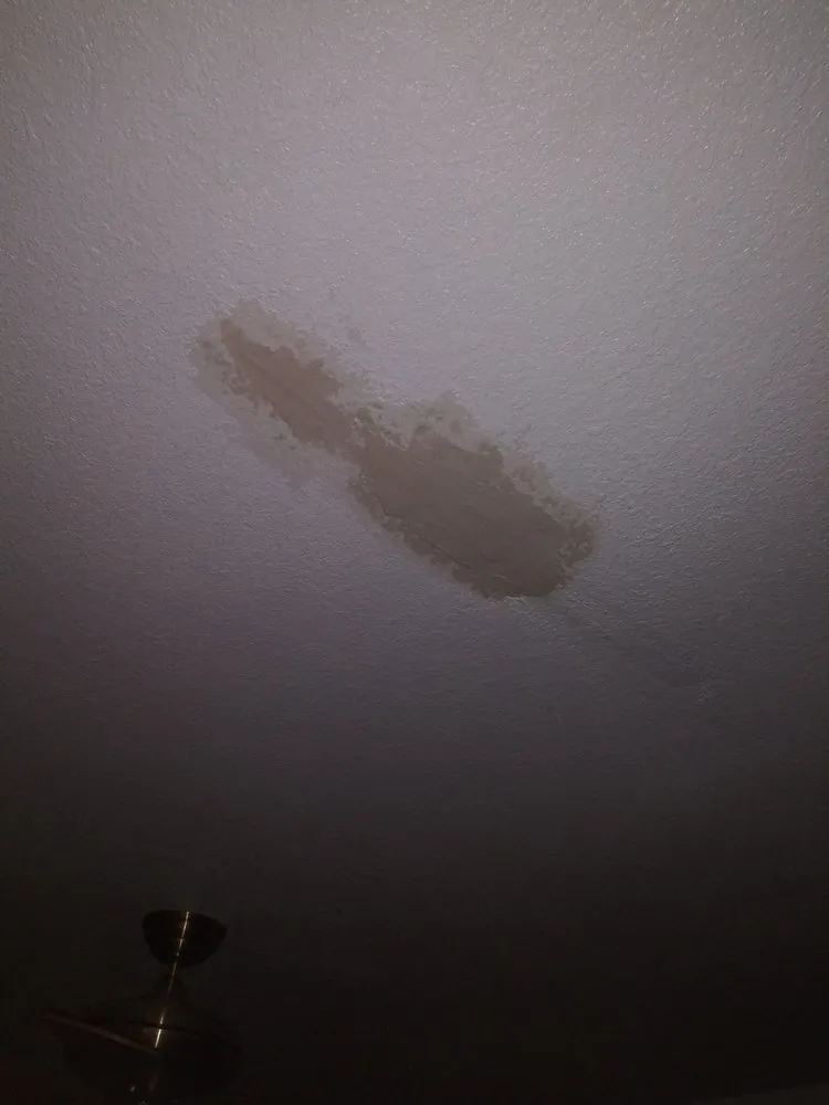 Slide of Royal Pain Main and Drain