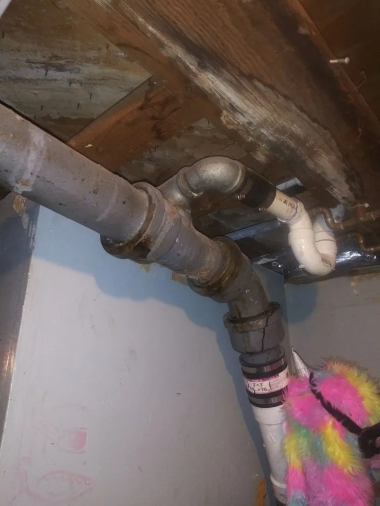 Slide of Royal Pain Main and Drain