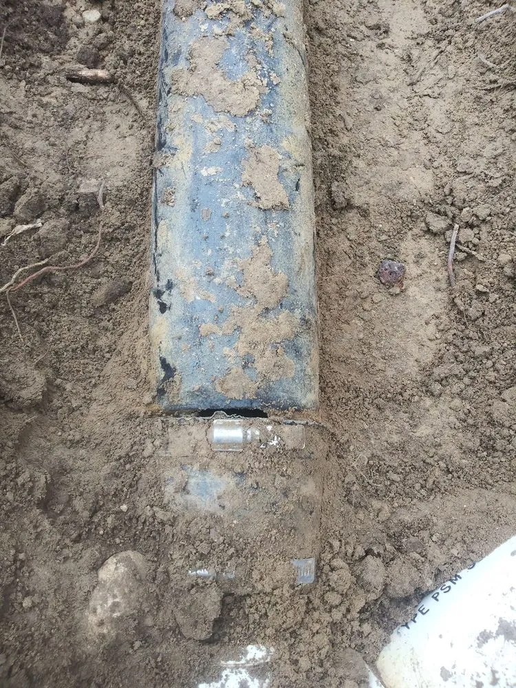 Slide of Royal Pain Main and Drain