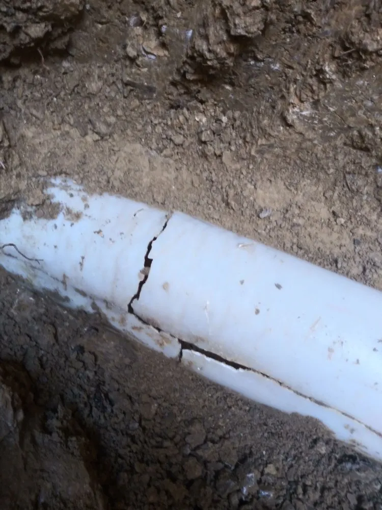 Slide of Royal Pain Main and Drain