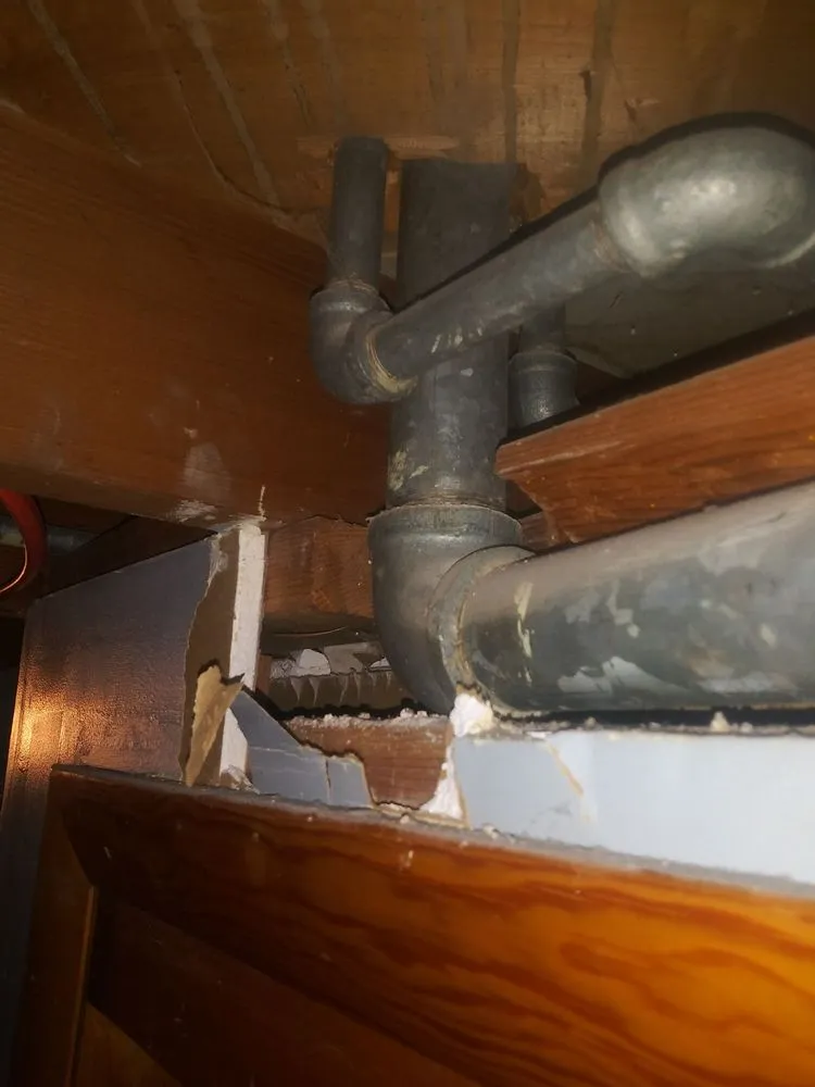 Slide of Royal Pain Main and Drain