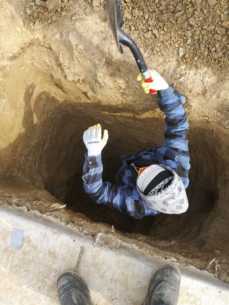 Slide of Royal Pain Main and Drain