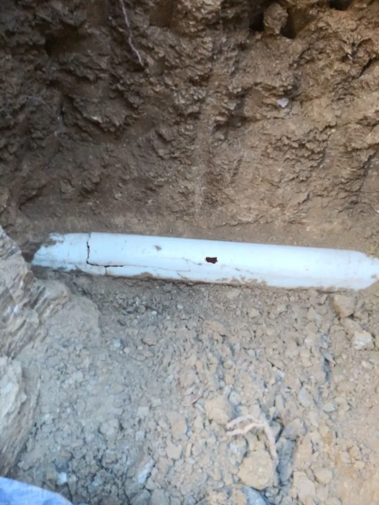 Slide of Royal Pain Main and Drain