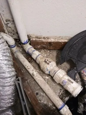 Royal Pain Main and Drain