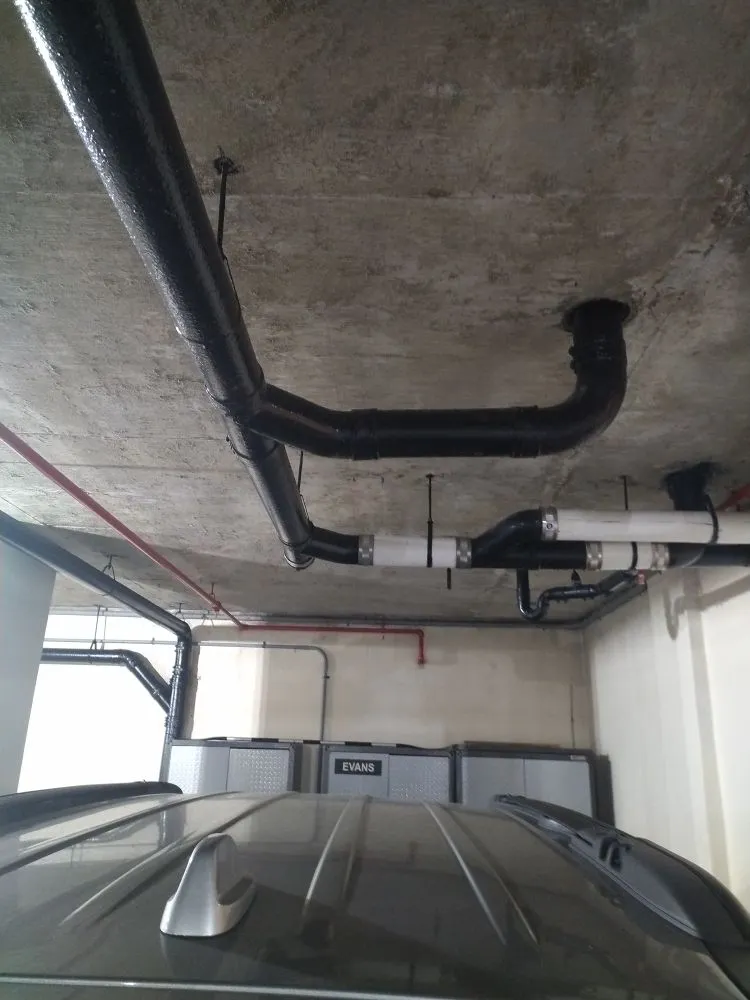 Slide of Royal Rooter