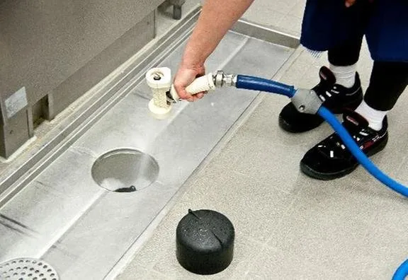 Slide of Royal Rooter