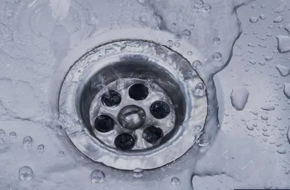 Slide of Royal Rooter