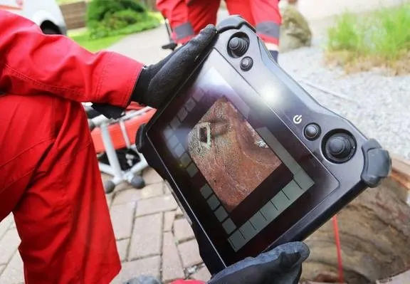 Slide of Royal Rooter