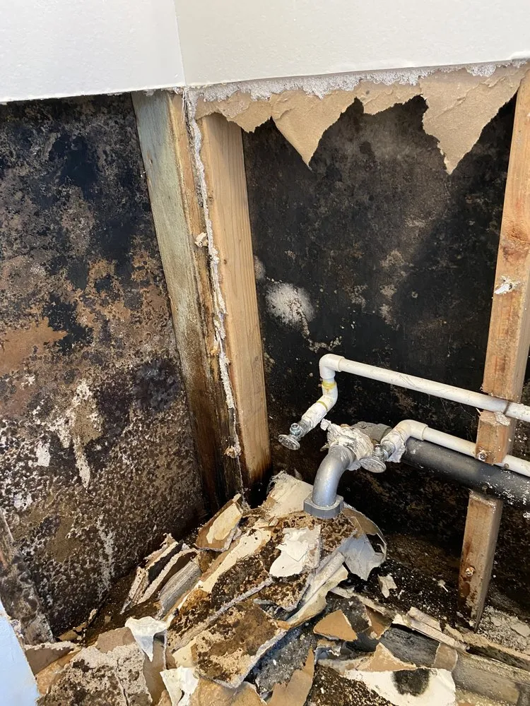 Slide of Royal Service Pros