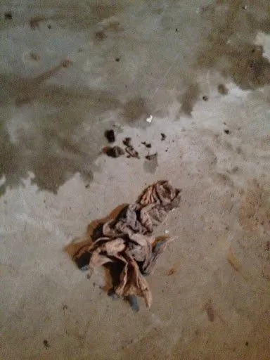 Slide of Royal Services