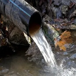 Slide of Royal Services