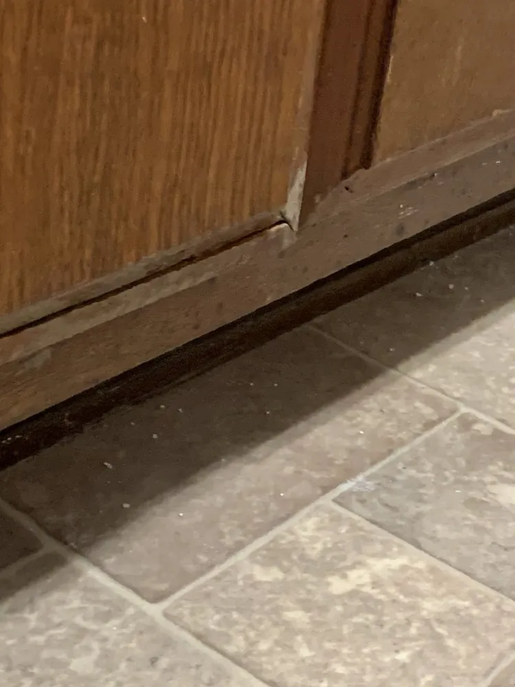 Slide of Royale Plumbing