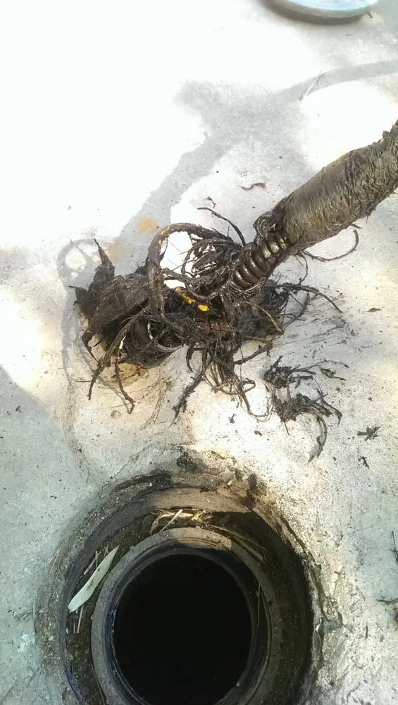 Slide of Royale Plumbing