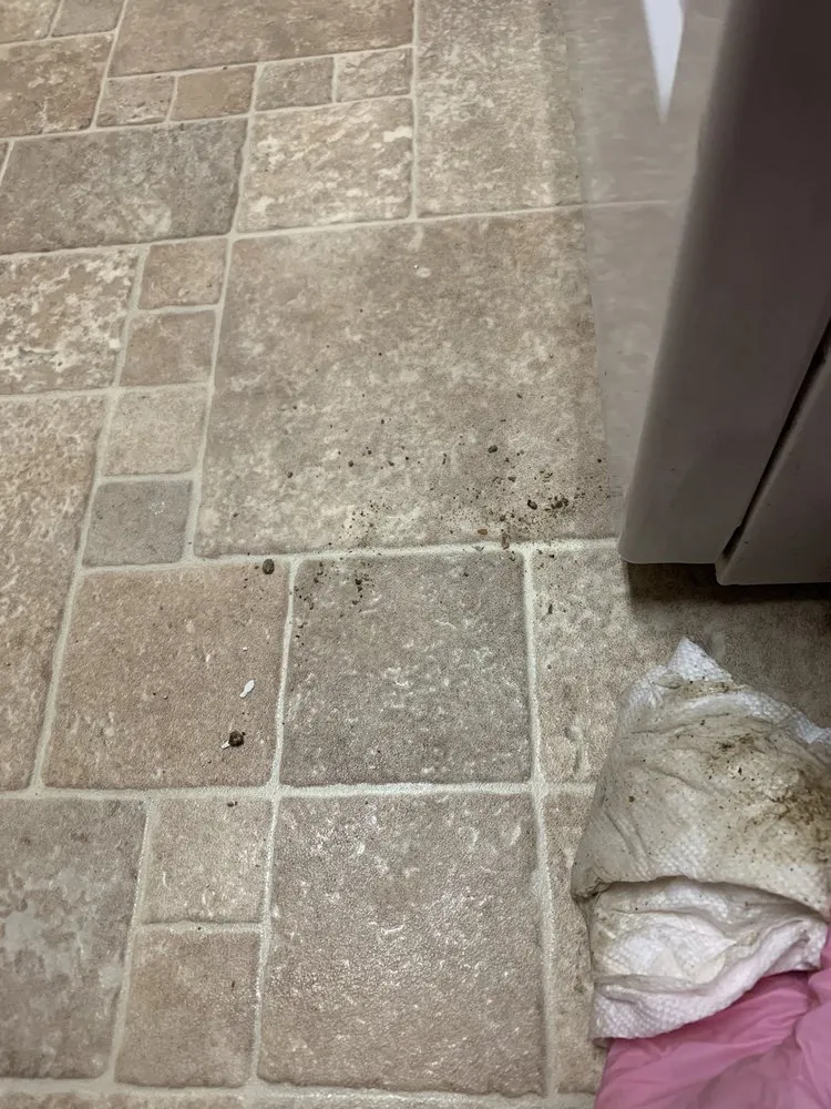 Professional plumbing repair service in West Hollywood, CA - Royale Plumbing