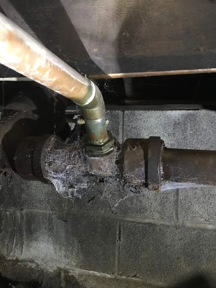 Affordable leak detection service in Boyertown, PA - Royally Flushed Plumbing